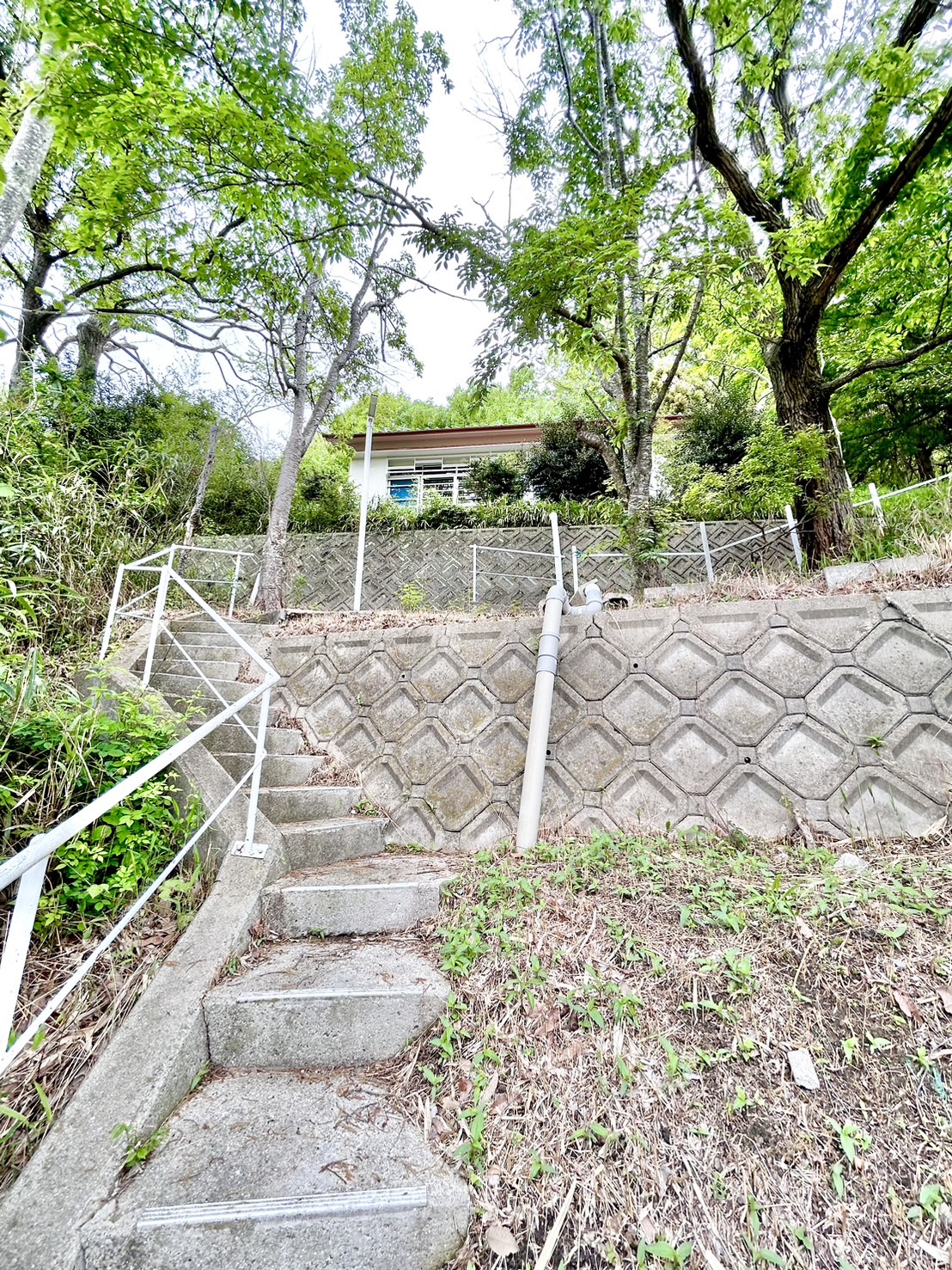 道路側から建物へ続く階段と緑の敷地